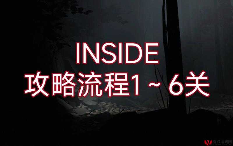 INSIDE游戏第四关全面过关攻略，解锁所有秘密，实现游戏价值最大化